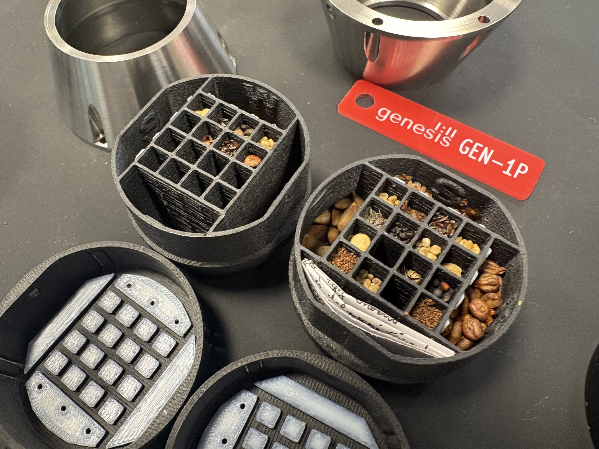 Cannabis sativa L. seed trays in the GEN-3p payload module